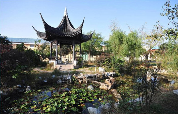 milan体育app官网